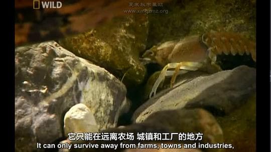 国家地理：巴伐利亚奇幻国度