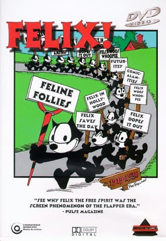Feline Follies