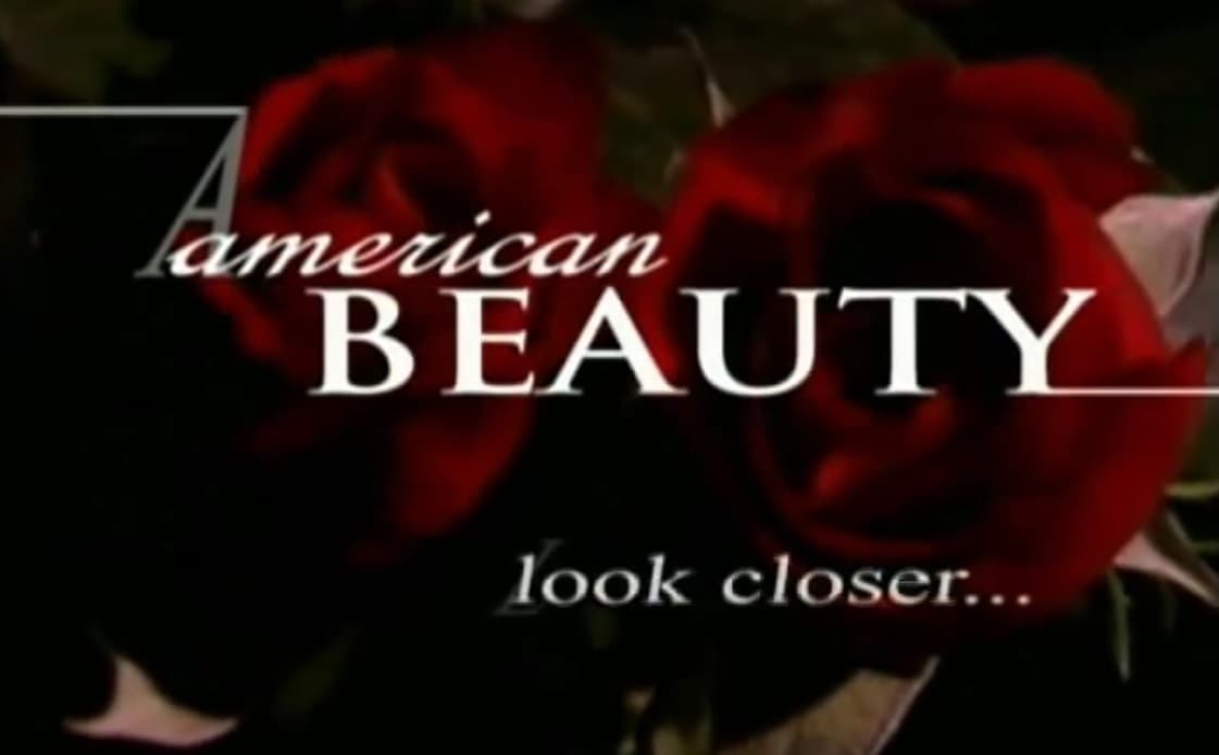 American Beauty: Look Closer...