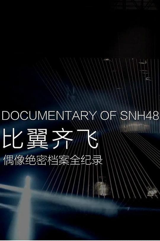 比翼齐飞——偶像绝密档案全纪录
