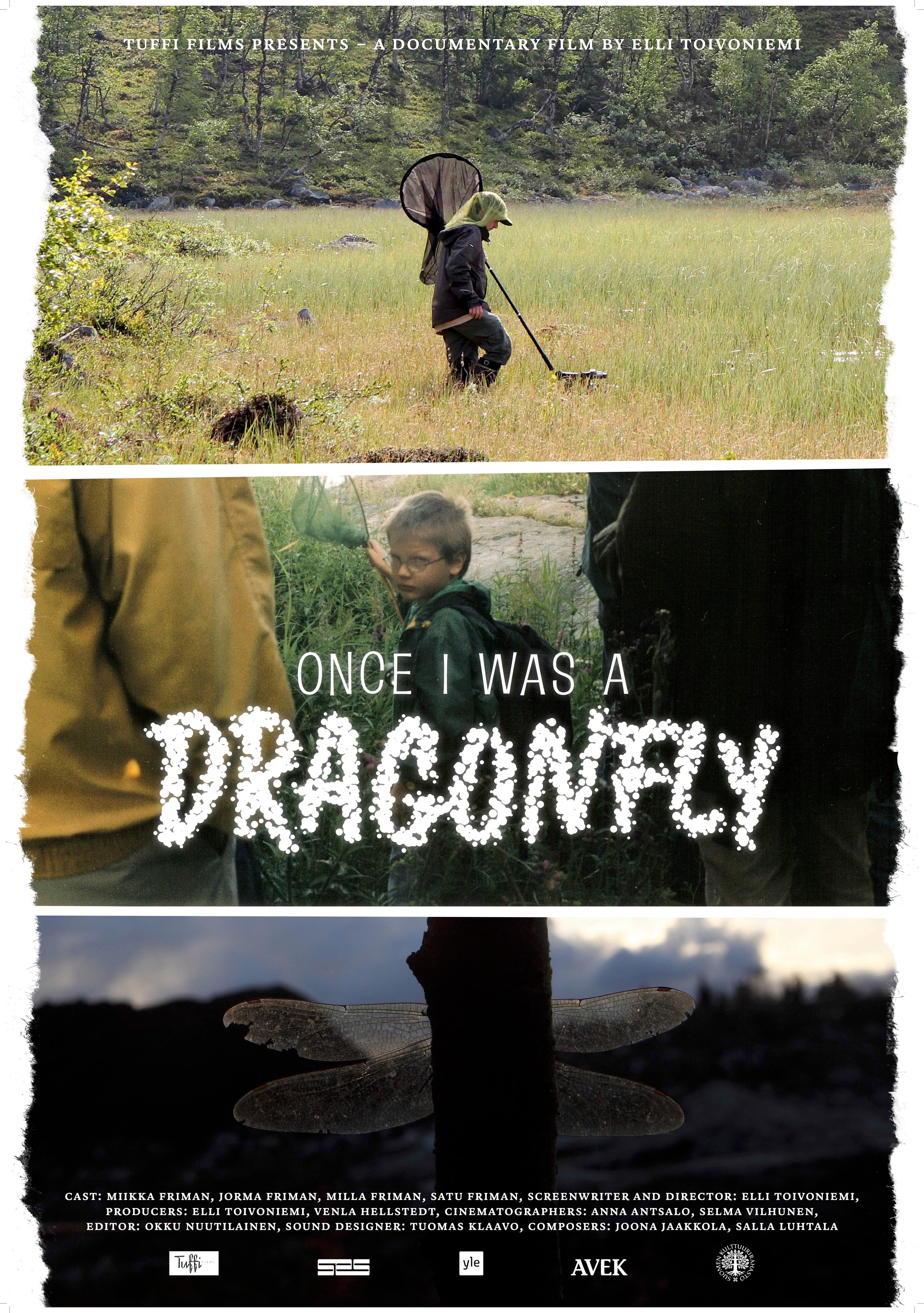 Once I Was a Dragonfly