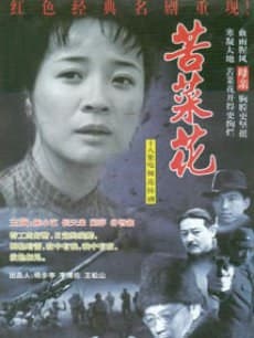 苦菜花