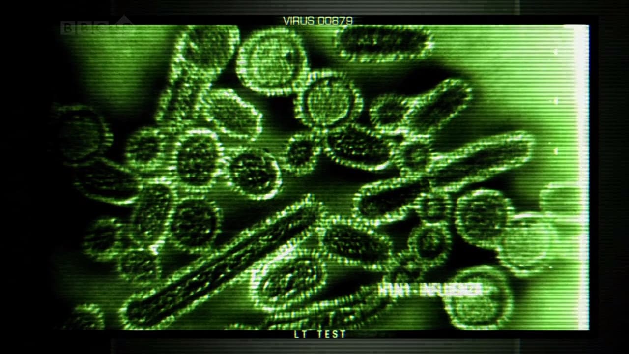 Why Do Viruses Kill?