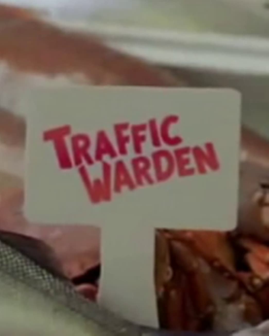 Traffic Warden