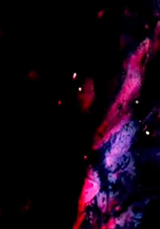 恒星