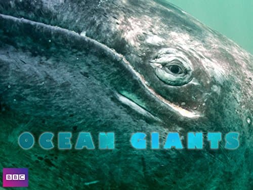 Ocean Giants