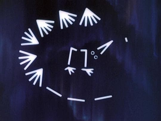 乌鸫