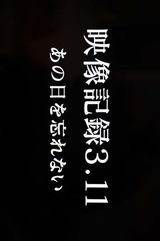 映像记录3·11：难忘那一天