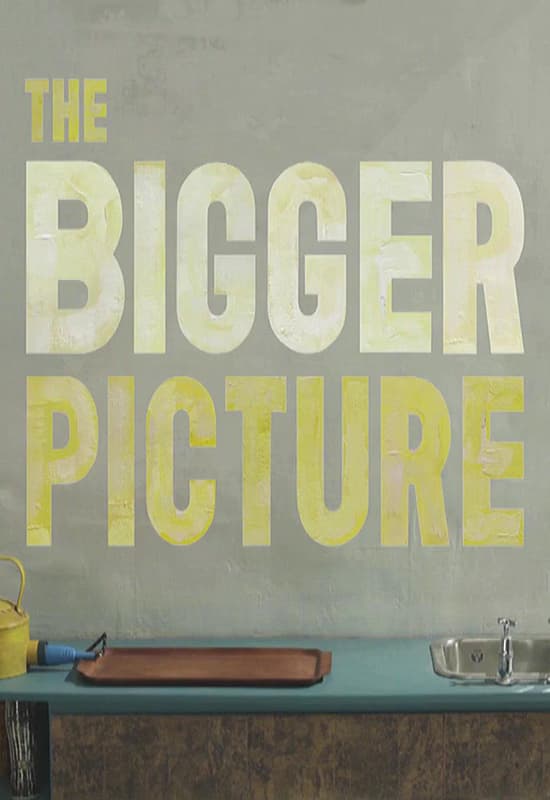 The Bigger Picture