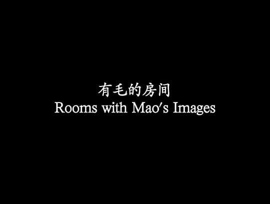 有毛的房间