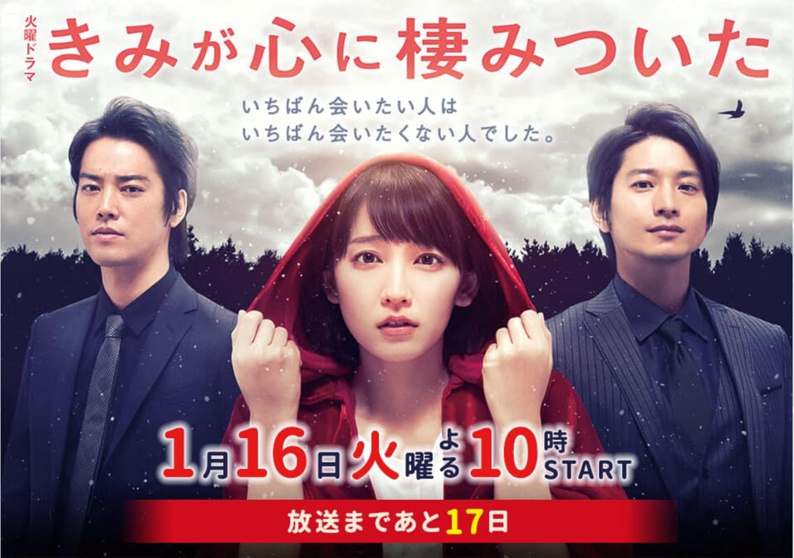Kimi ga kokoro ni sumitsuita