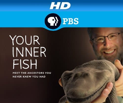 Your Inner Fish