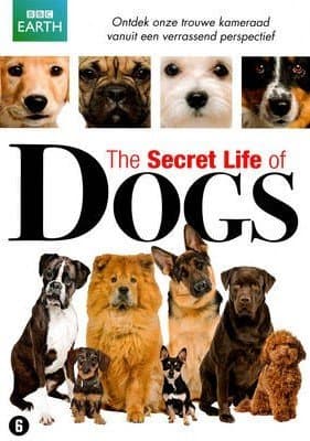 Secret Life of Dogs
