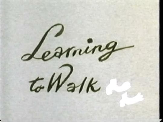 Learning to Walk