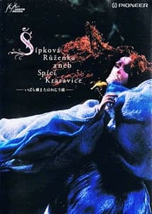 Briar-Rose or the Sleeping Beauty