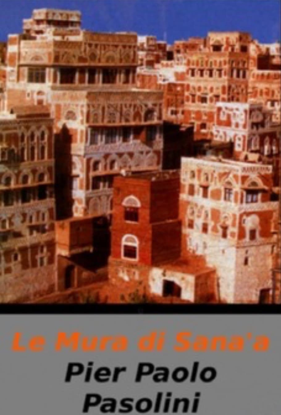 The Walls of Sana'a