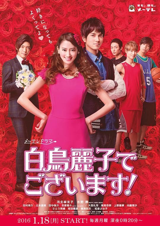 本小姐乃白鸟丽子