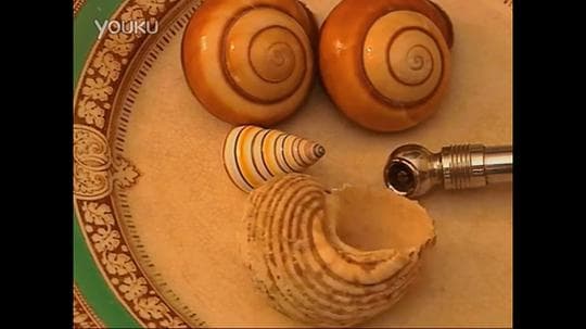 恶作剧电话