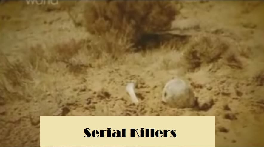 Serial Killers