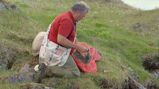 自然世界：冰岛：冰与火的国度