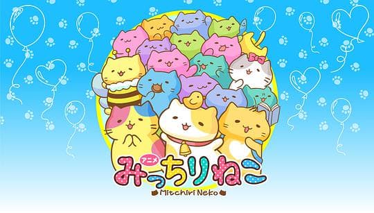 萌猫向前冲
