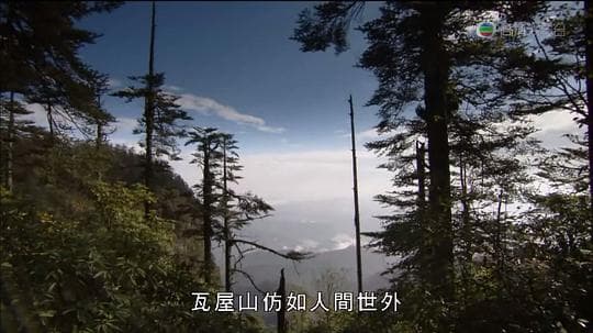 马文与中国大熊猫