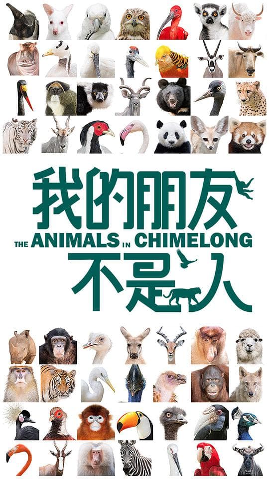 我的朋友不是人
