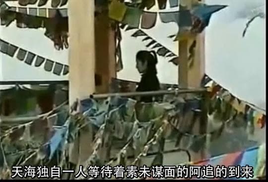天海祐希DNA溯源之旅