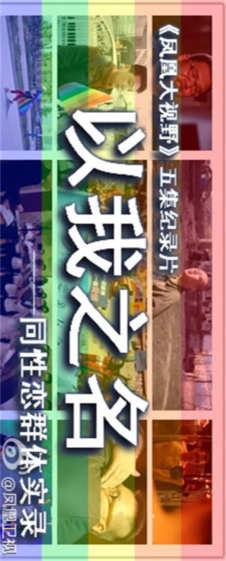 以我之名：中国同性恋群体实录
