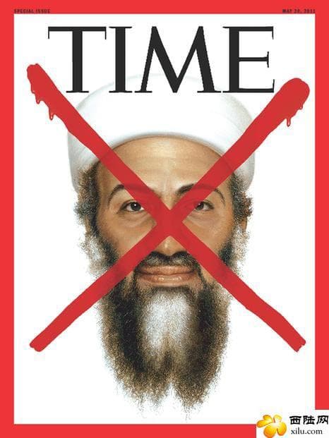 The Death of Bin Laden