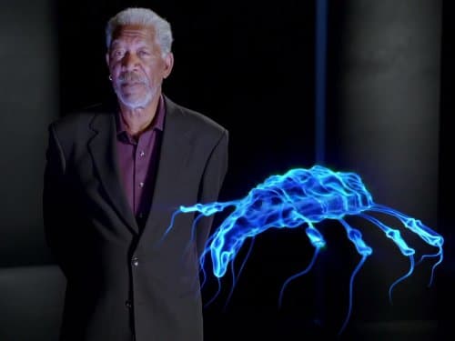 Will We Survive First Contact?