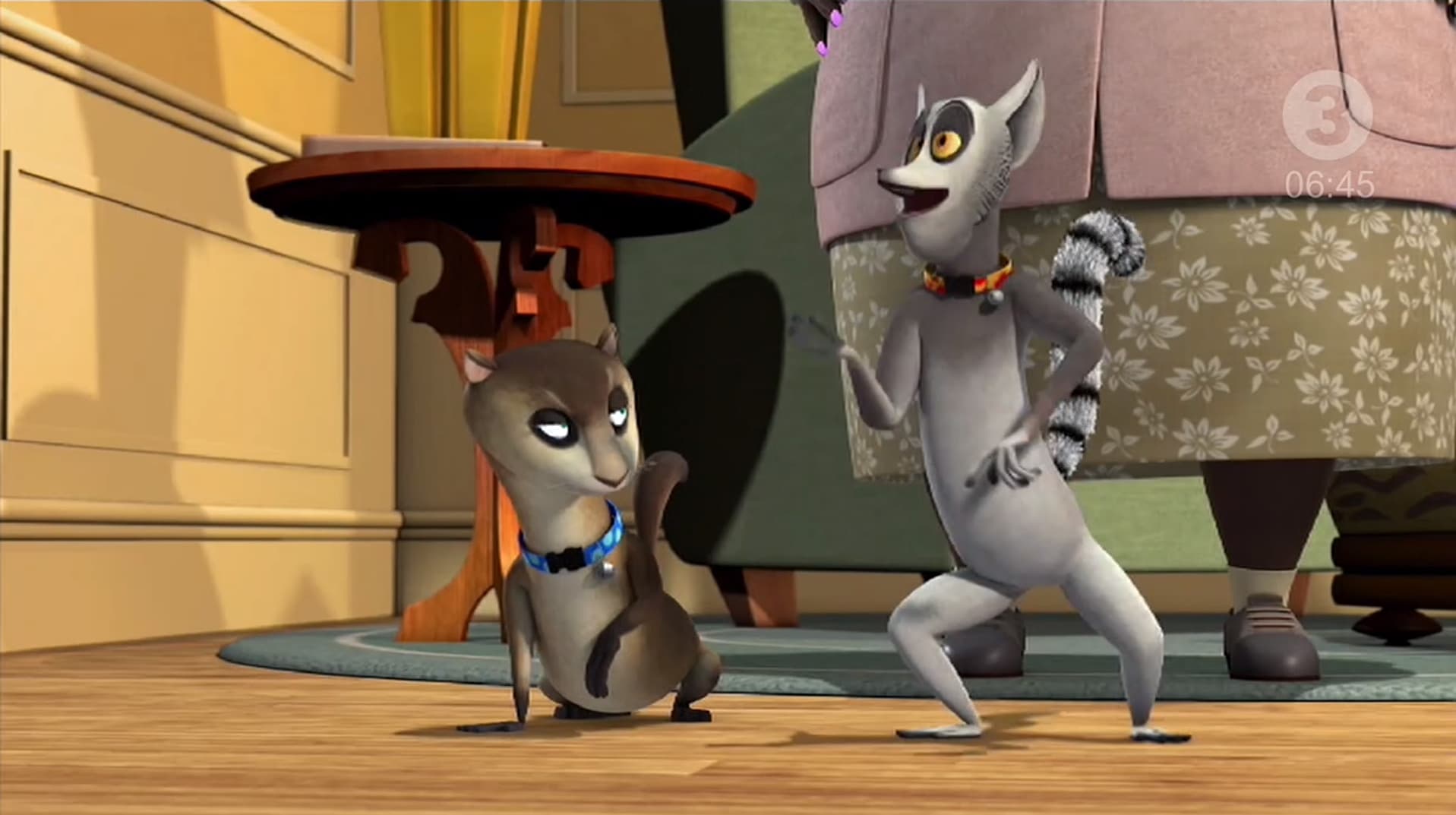 Feline Fervor