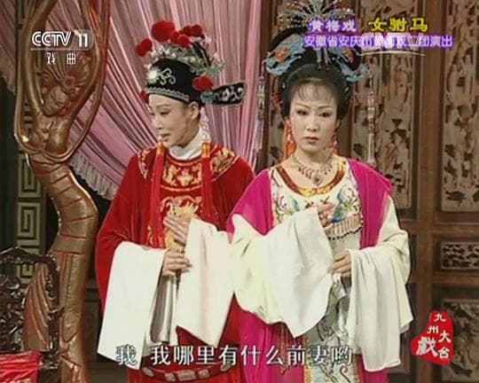 女驸马