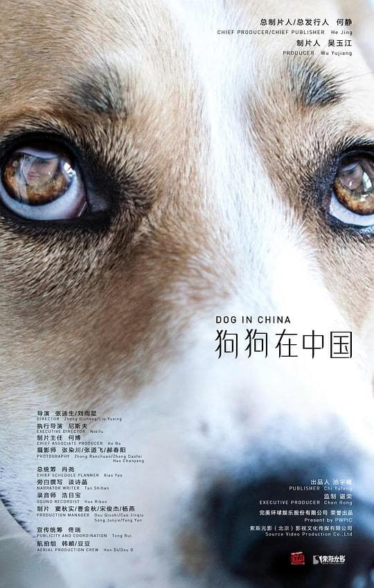 狗狗在中国