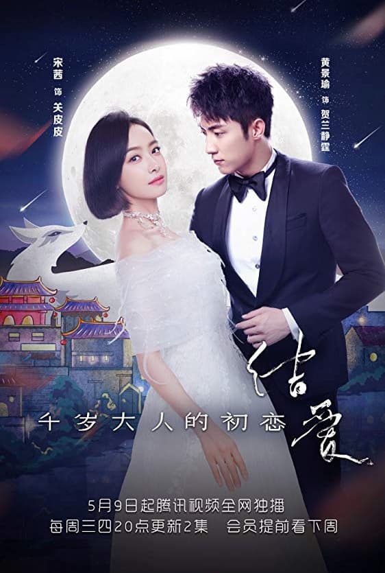 The Love Knot: His Excellency's First Love