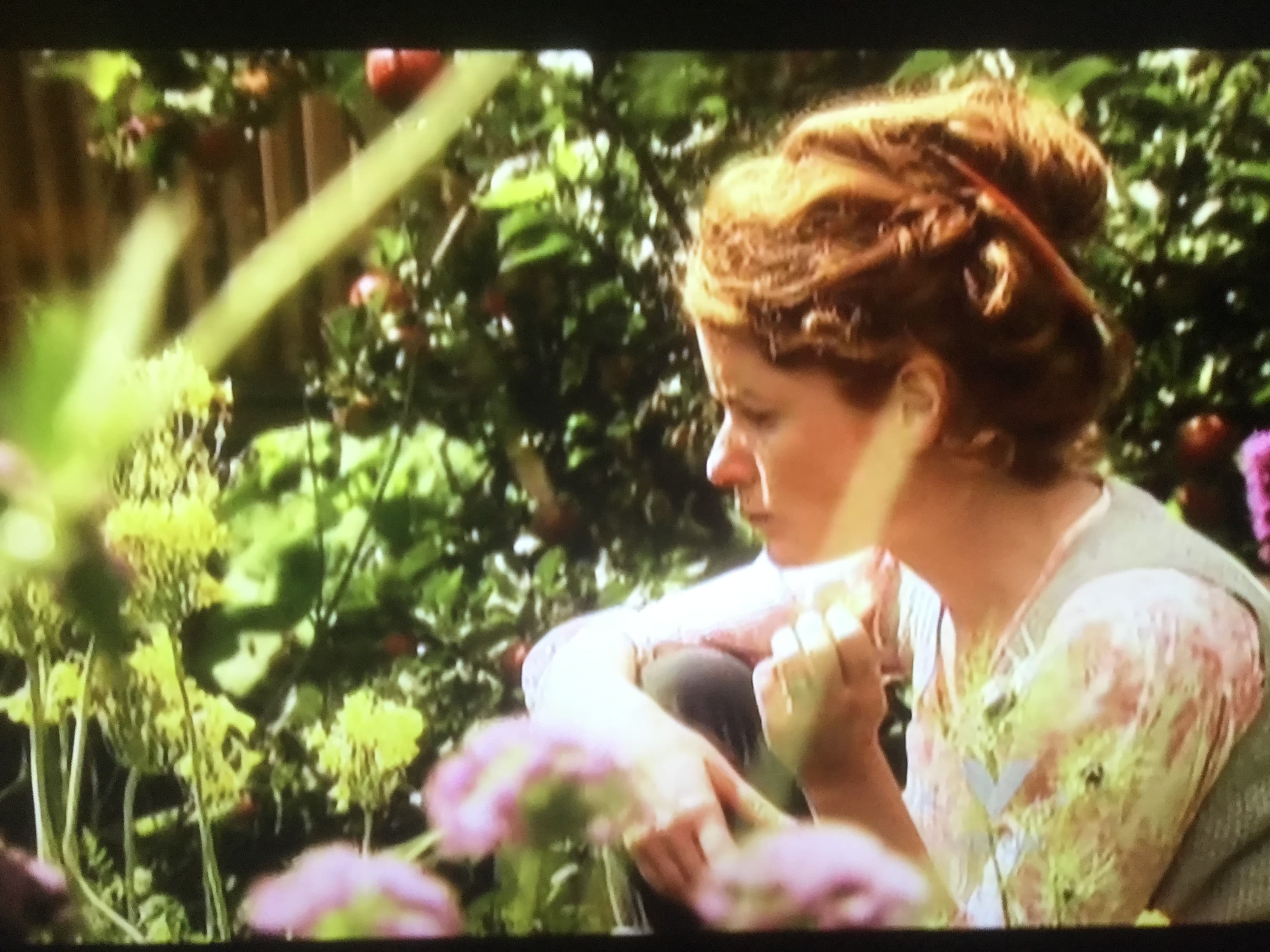The Edible Garden