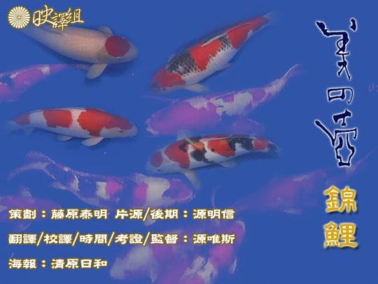 美之壶
