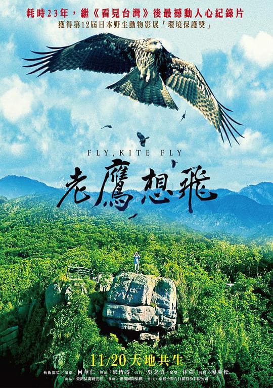 老鹰想飞