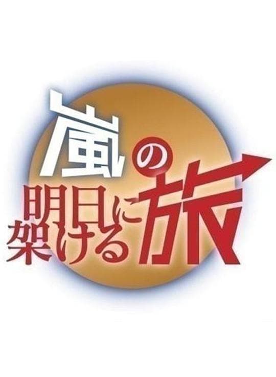 岚的通向明日之旅 第2弹