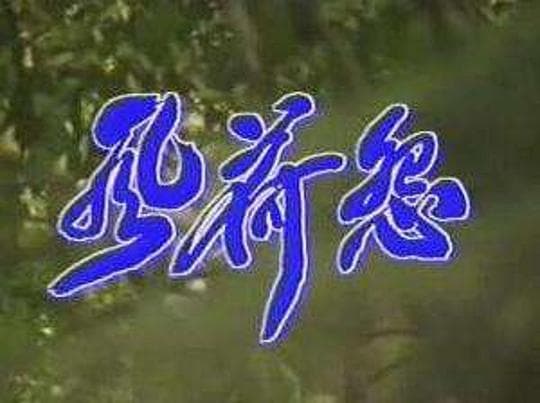 风荷怨