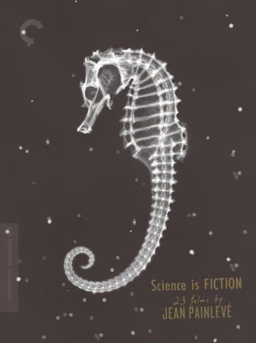 The Seahorse