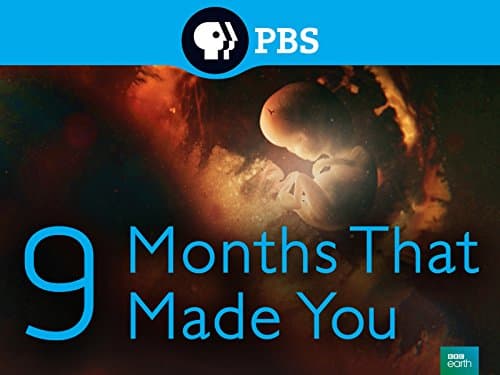 9 Months That Made You
