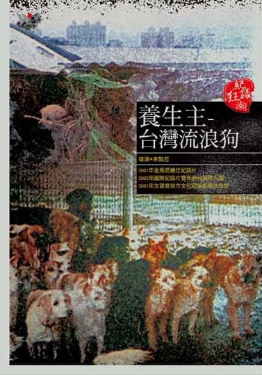 养生主—台湾流浪狗