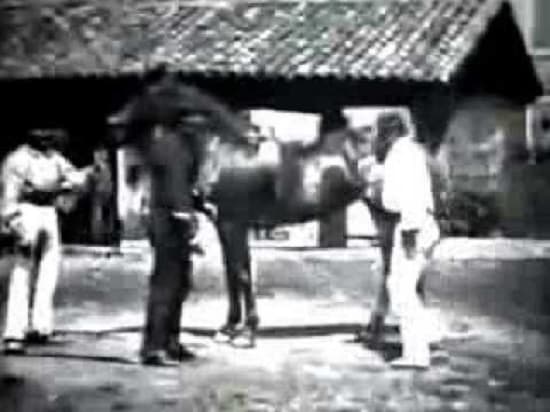 Trick Riding