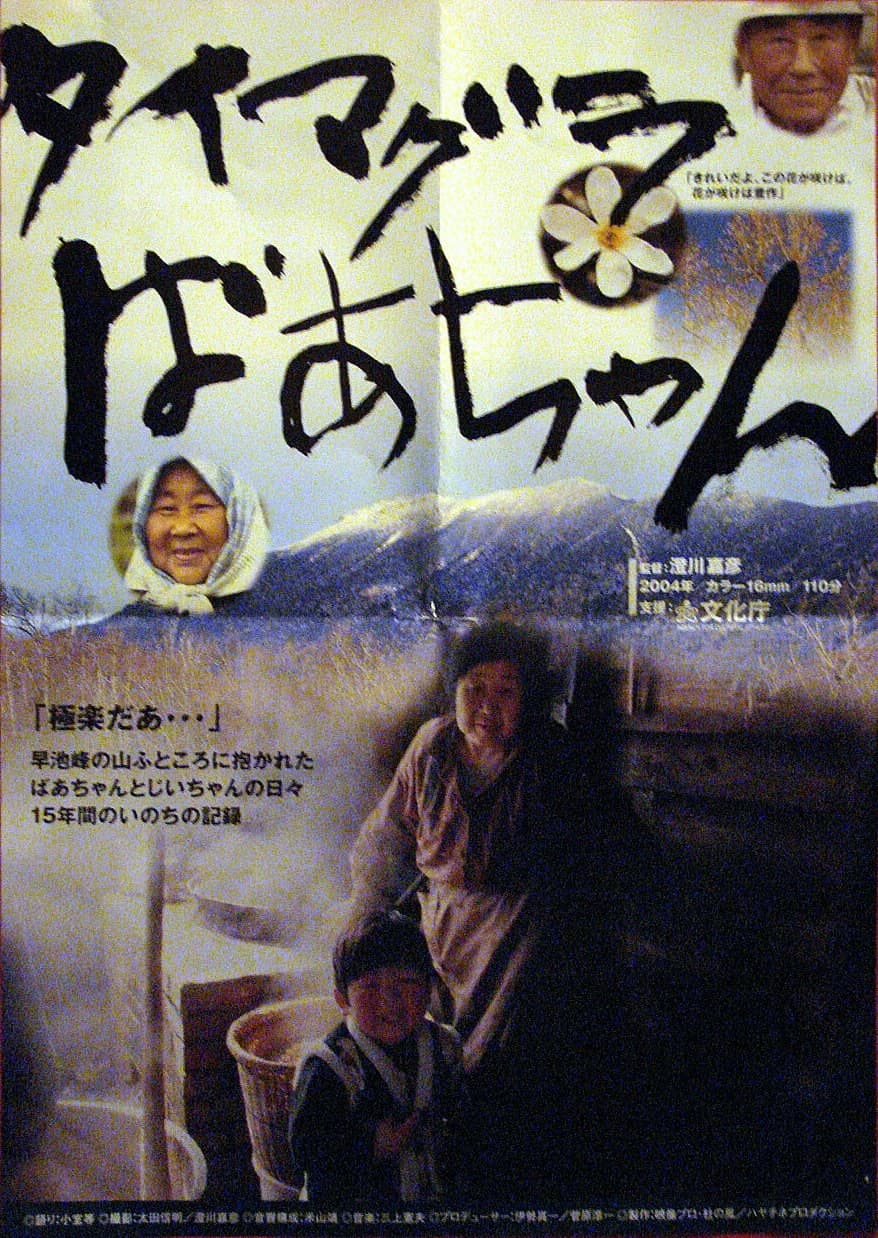 TAIMAGURA 奶奶