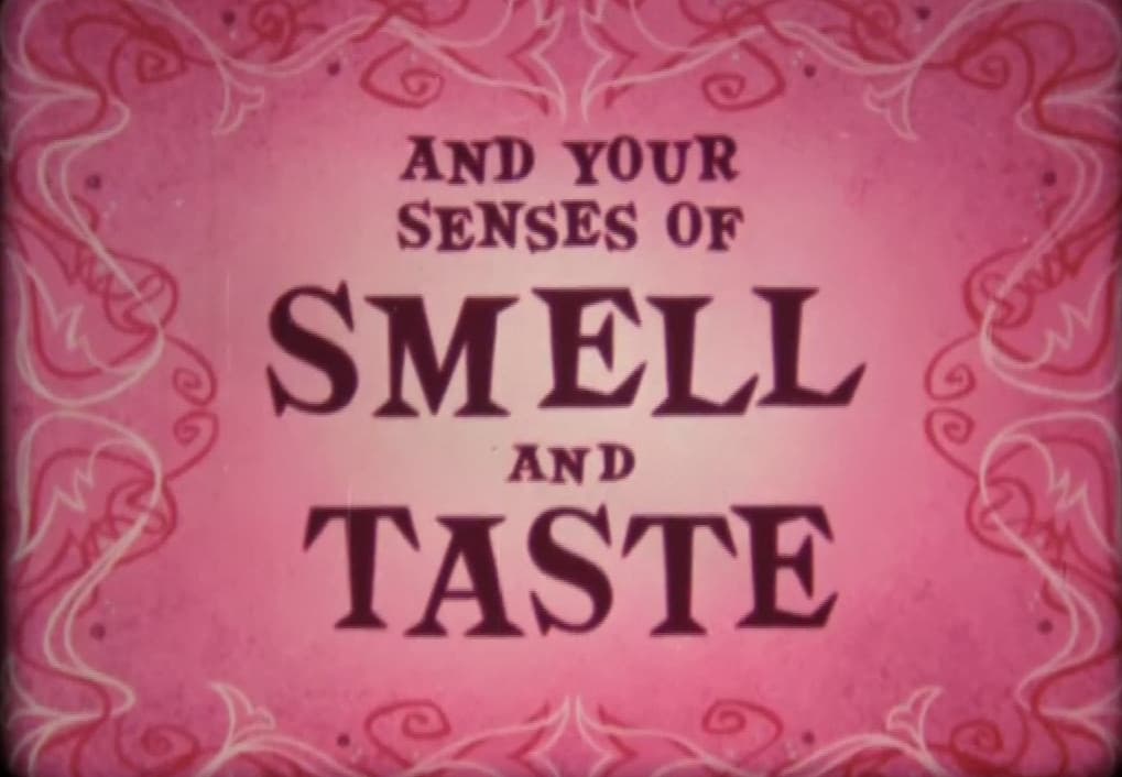 You and Your Senses of Smell and Taste