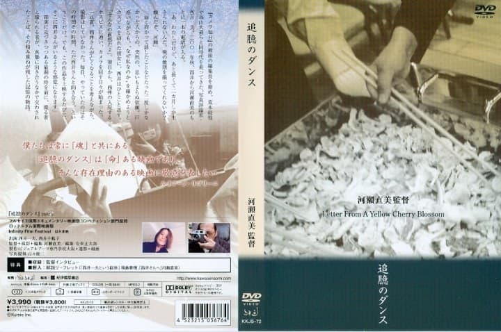 黄樱花的来信