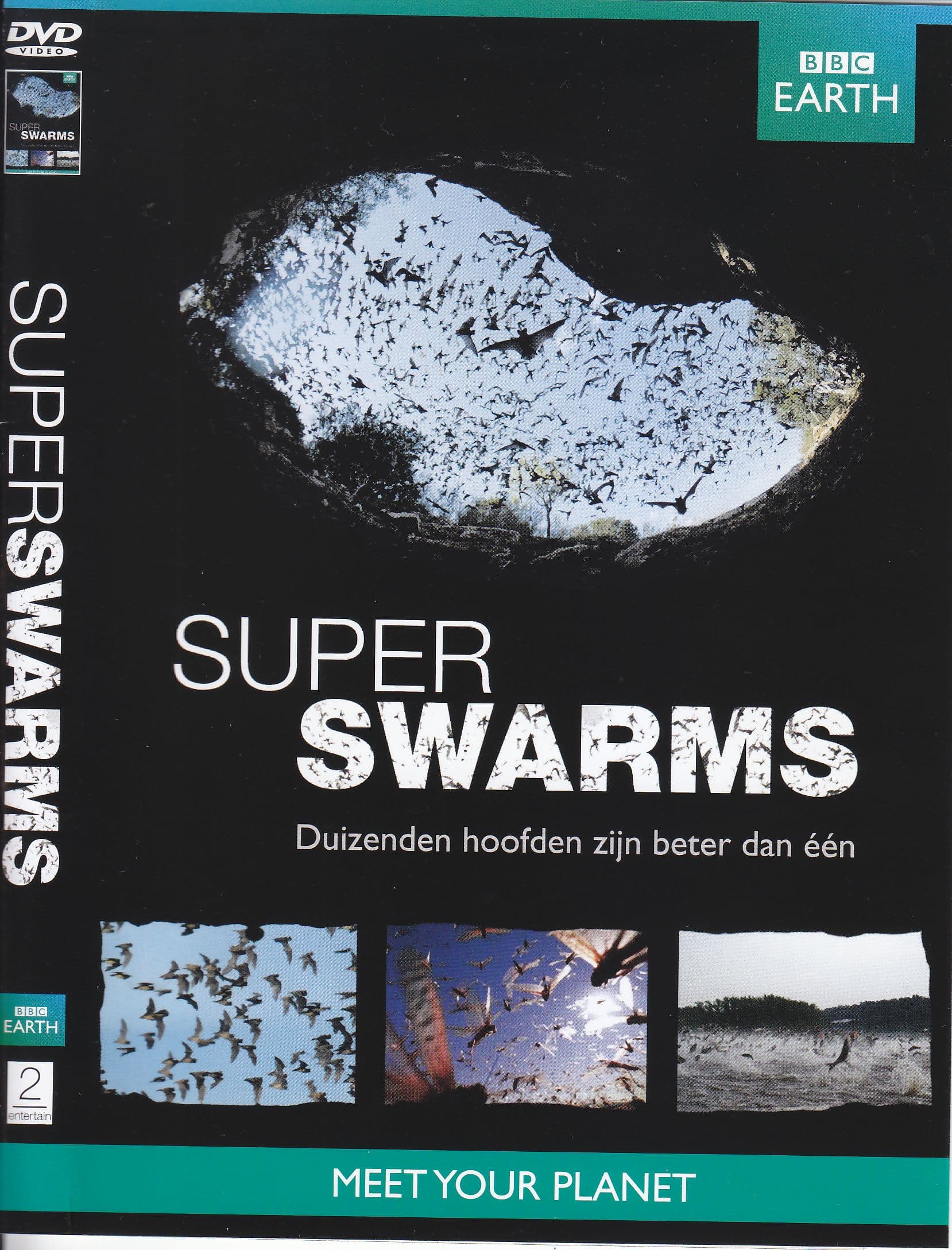 Swarm: Nature's Incredible Invasions