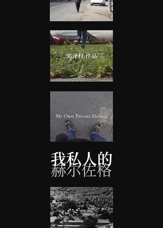 我私人的赫尔佐格