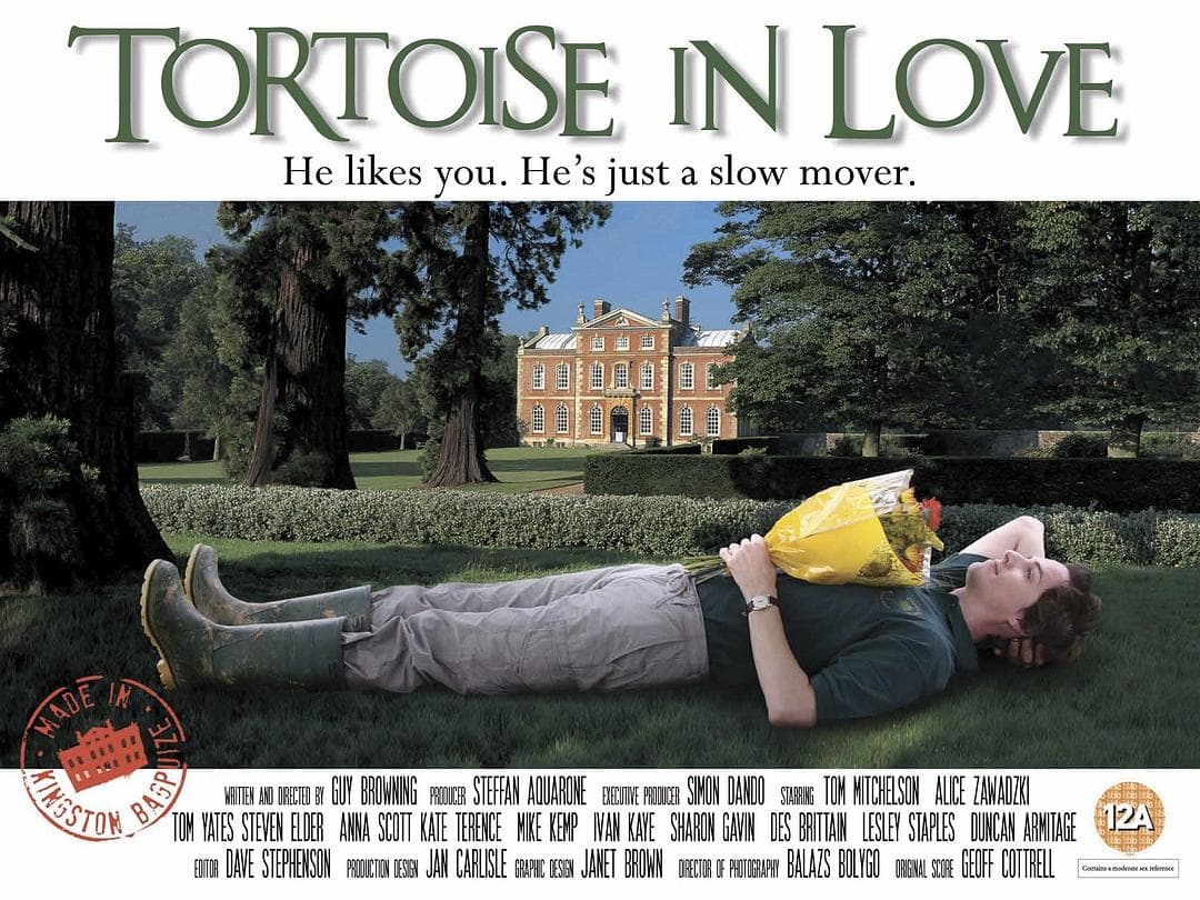 Tortoise in Love